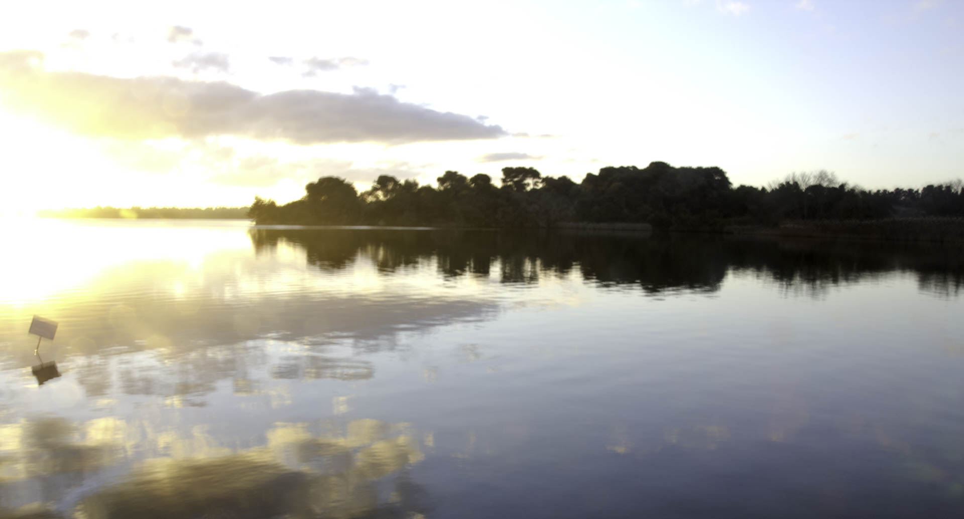 lago 3