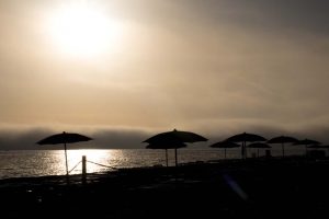 Cesine 3