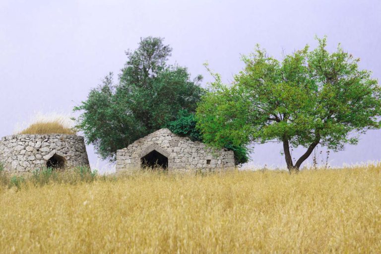 corigliano campagna3