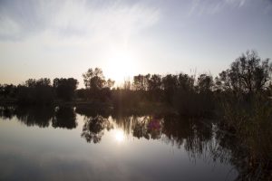 cutrofiano lago 2 scaled 1