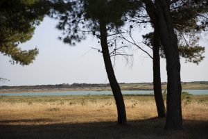 lago pappadà scaled 1