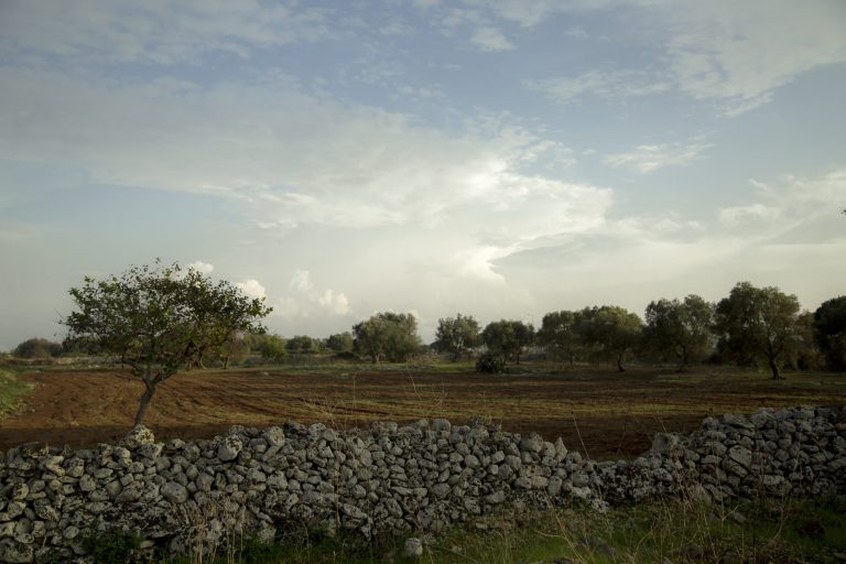 melpignano corigliano scaled 1