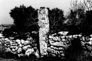 terenzano