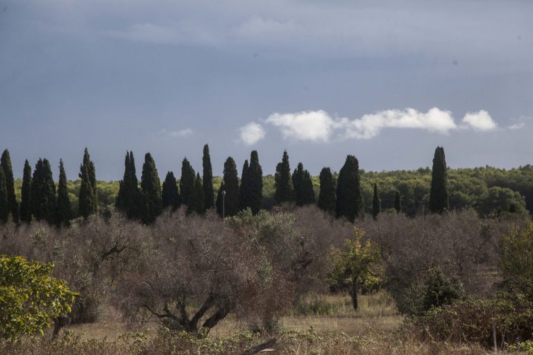 veduta cannole scaled 1