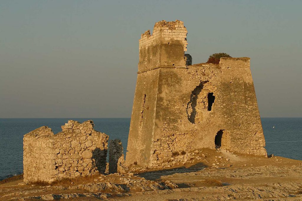 Peschici, città di pupe e orchidee 17 tur