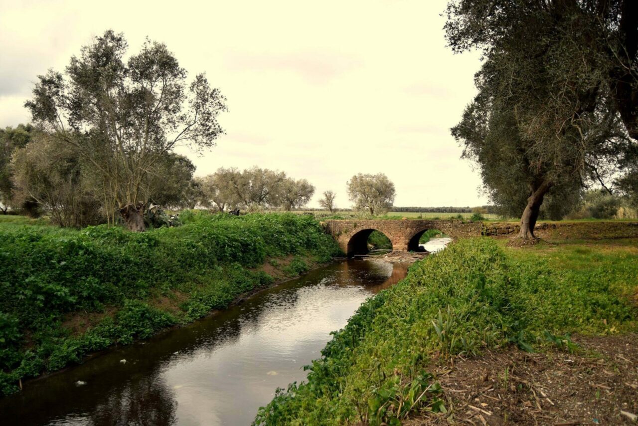 Il Canale Reale, fra canne e castelli 11 xx scaled 1 scaled