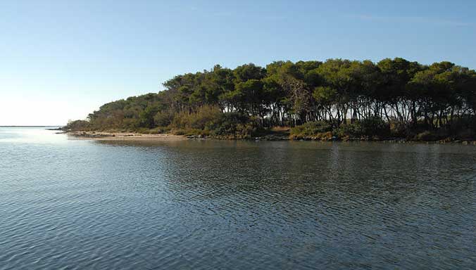 isola dei conigli porto cesareo