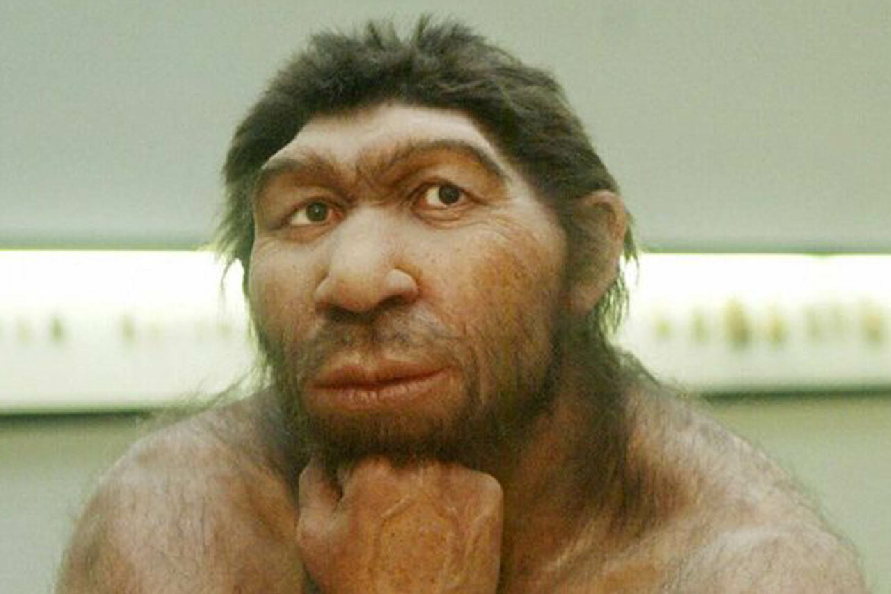 La grotta del Cavallo, sulle tracce dell'Homo di Neandertal 11 neand scaled
