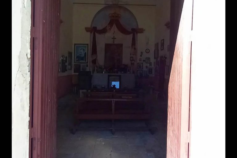 pisello