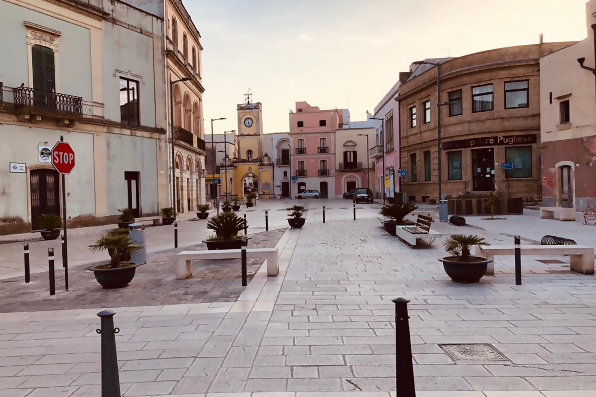 Aradeo