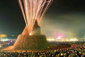 foc