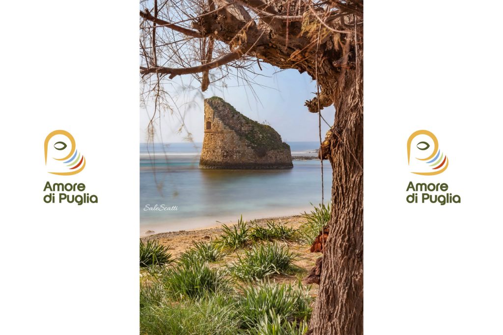 torre pali
