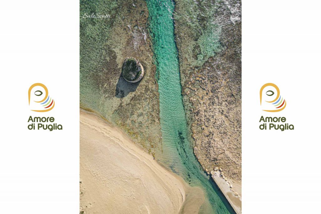 torre pali2