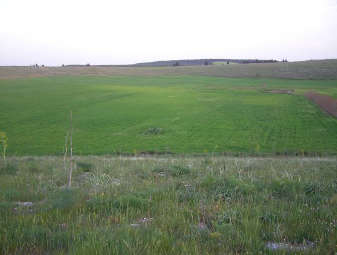 Gurio Lamanna Panoramic view