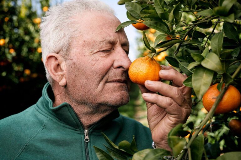 azienda agricola terre fatiguso palagiano