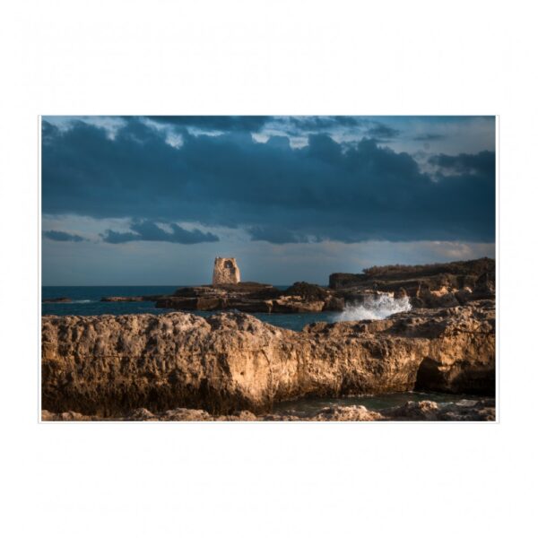 Roca