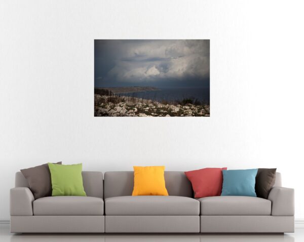 poster scogiera palascia